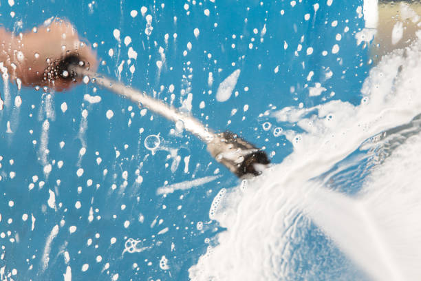 Best Roof Washing  in Sandoval, IL